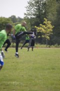 OTFL Gallery Image